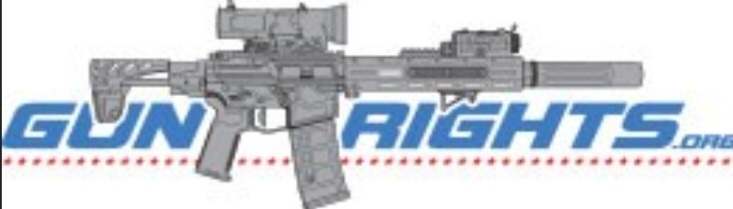 Gun Rights Logo